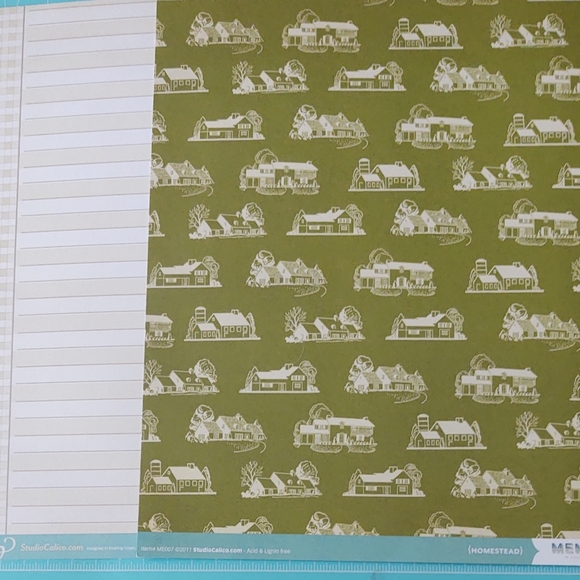 Studio calico 12x12 cardstock embellishments - Picture 4 of 10